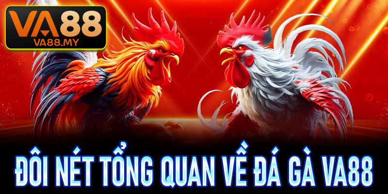 Đôi nét tổng quan về sảnh đá gà Va88