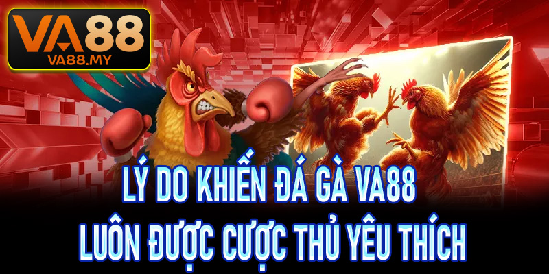 Lý do khiến đá gà Va88 luôn được cược thủ yêu thích
